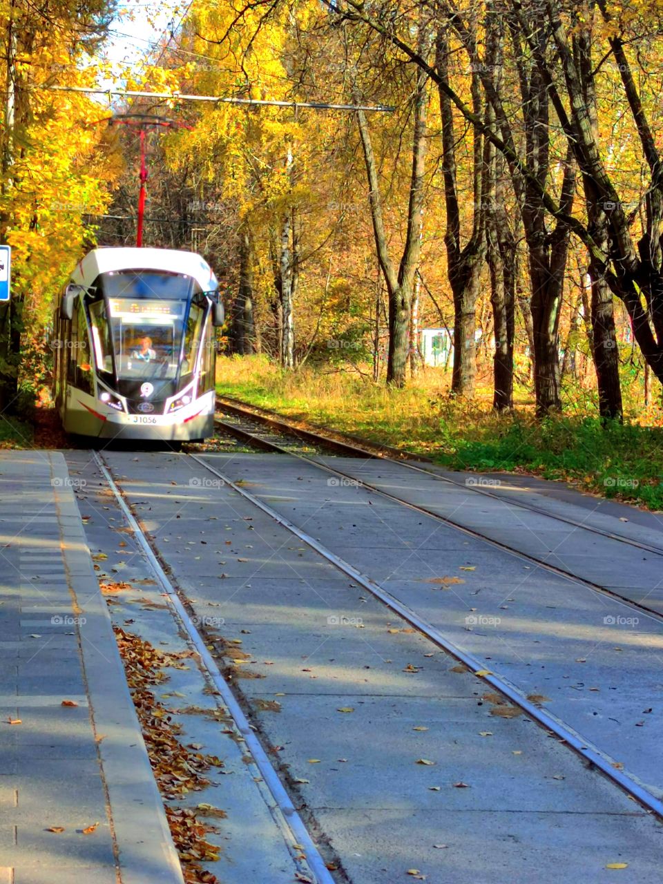 Autumn in the city.  Autumn trees.  Rails. Tram