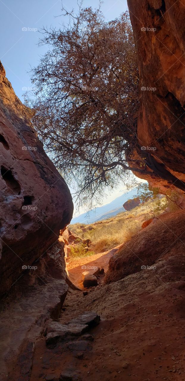 hiking in St. George Utah