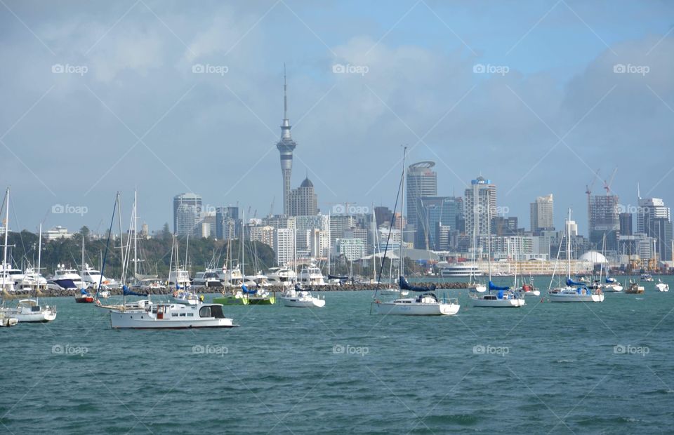 Auckland city seen from harbor 