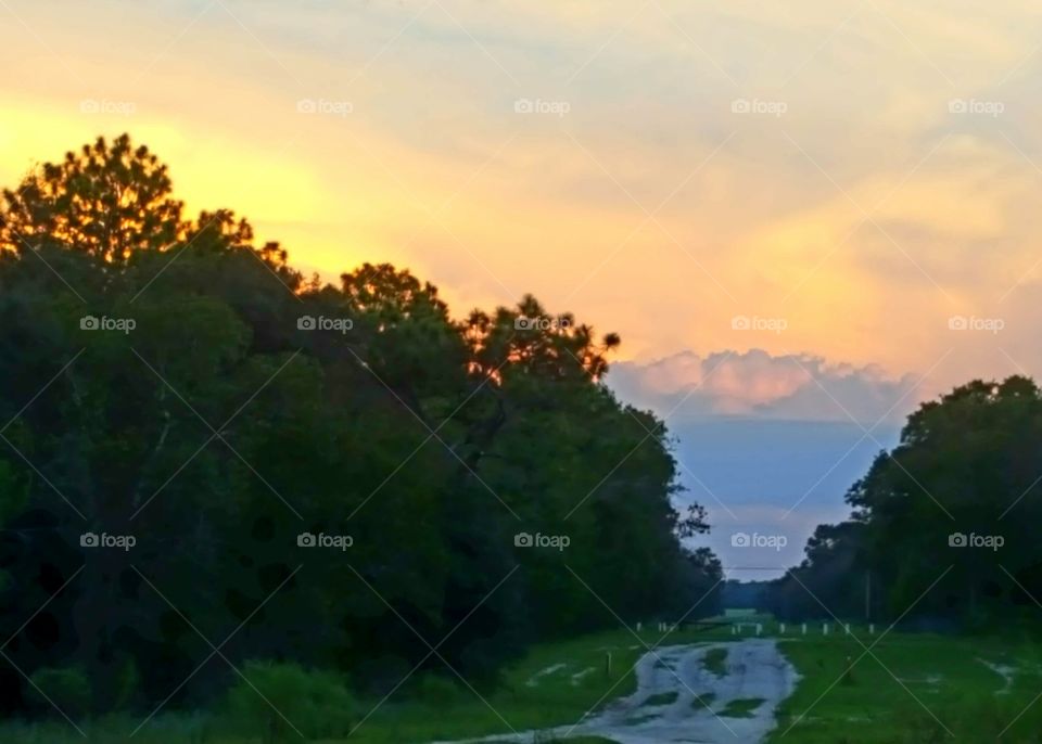 Landscape, Tree, No Person, Nature, Dawn