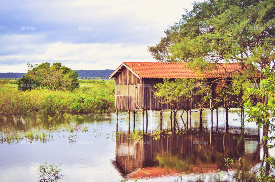 reflection