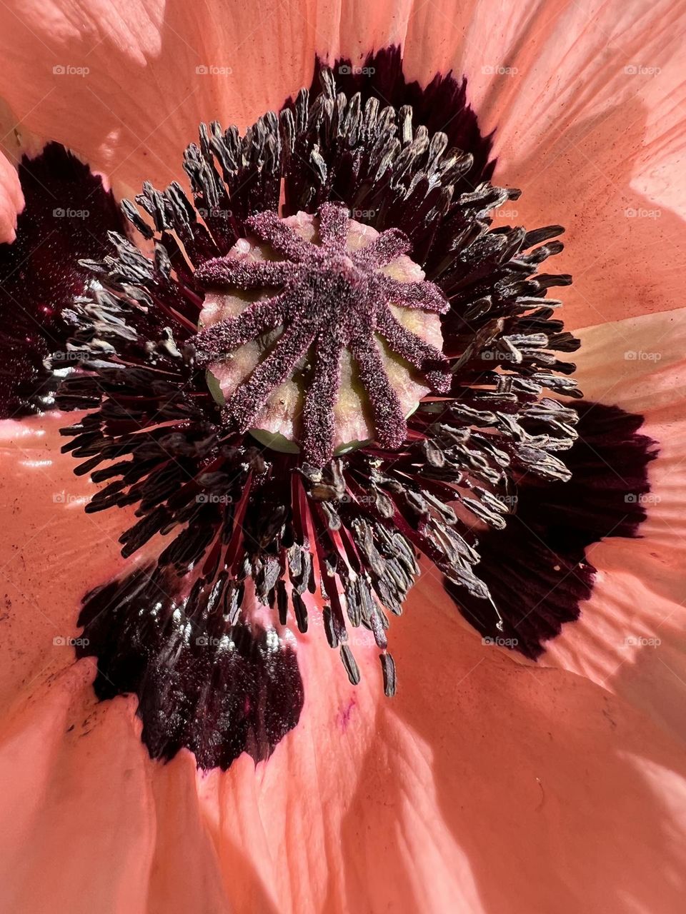 Naturaleza simétrica 