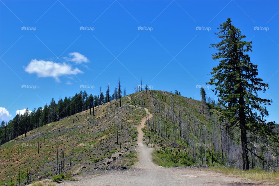 Reaching the Top; A Mountain side vacation hike