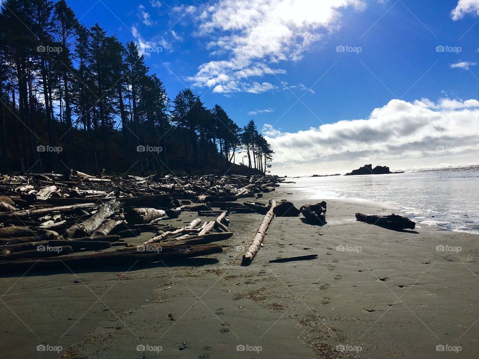 Ruby Beach, Pacific Ocean, Olympic Peninsula, Washington State 