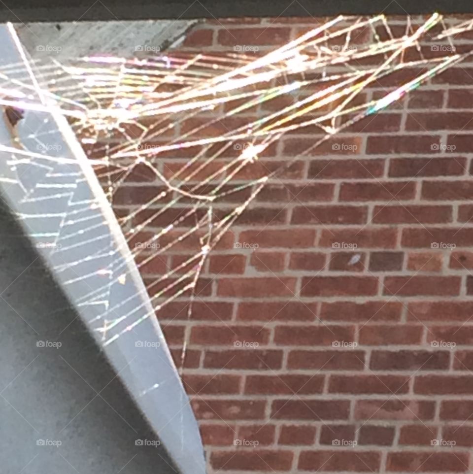 Spiderweb 
