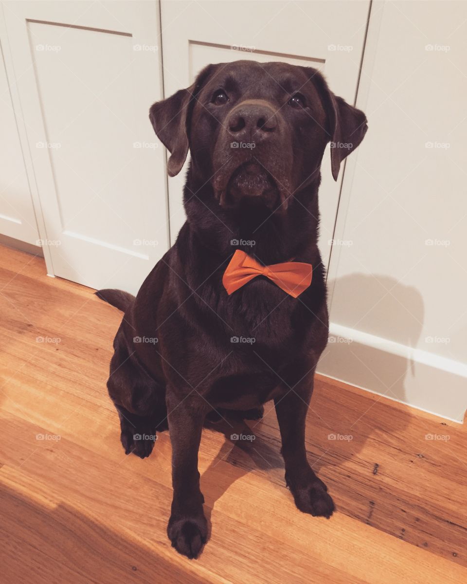 Fletch is a gentleman