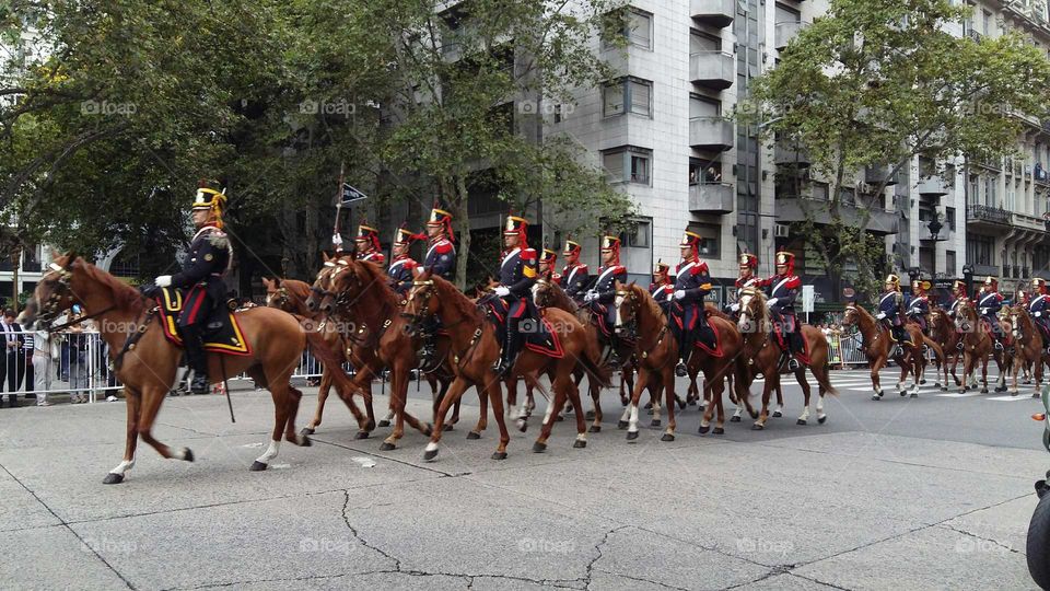 Grenadiers on Parade