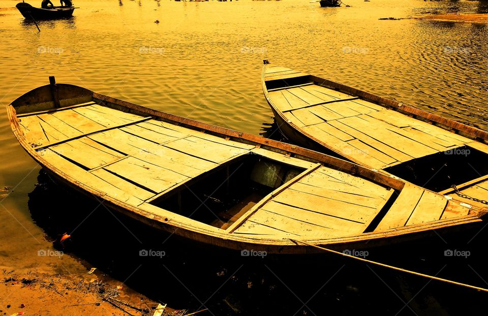 yellow nature sunset time