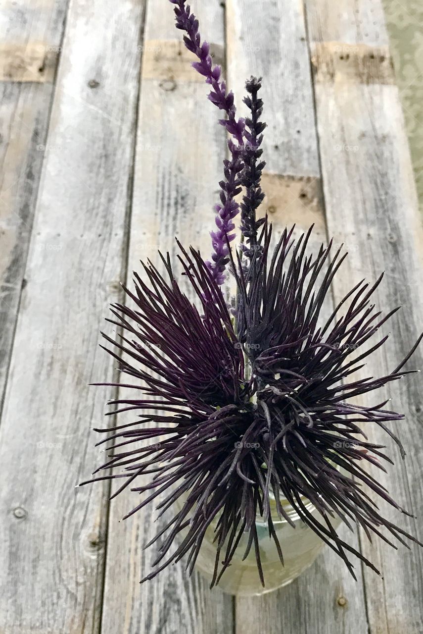 Close-up Purple Flower on Wood