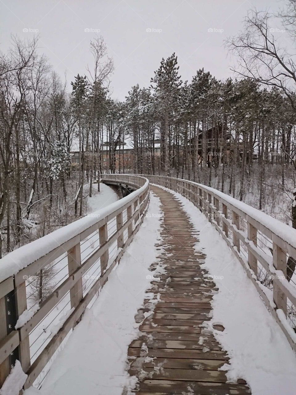 Wintery Bridge Scene