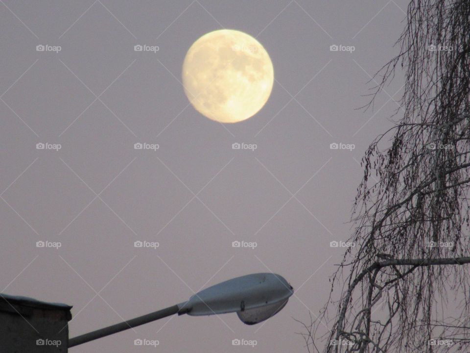full moon in december, winter, frosty evening