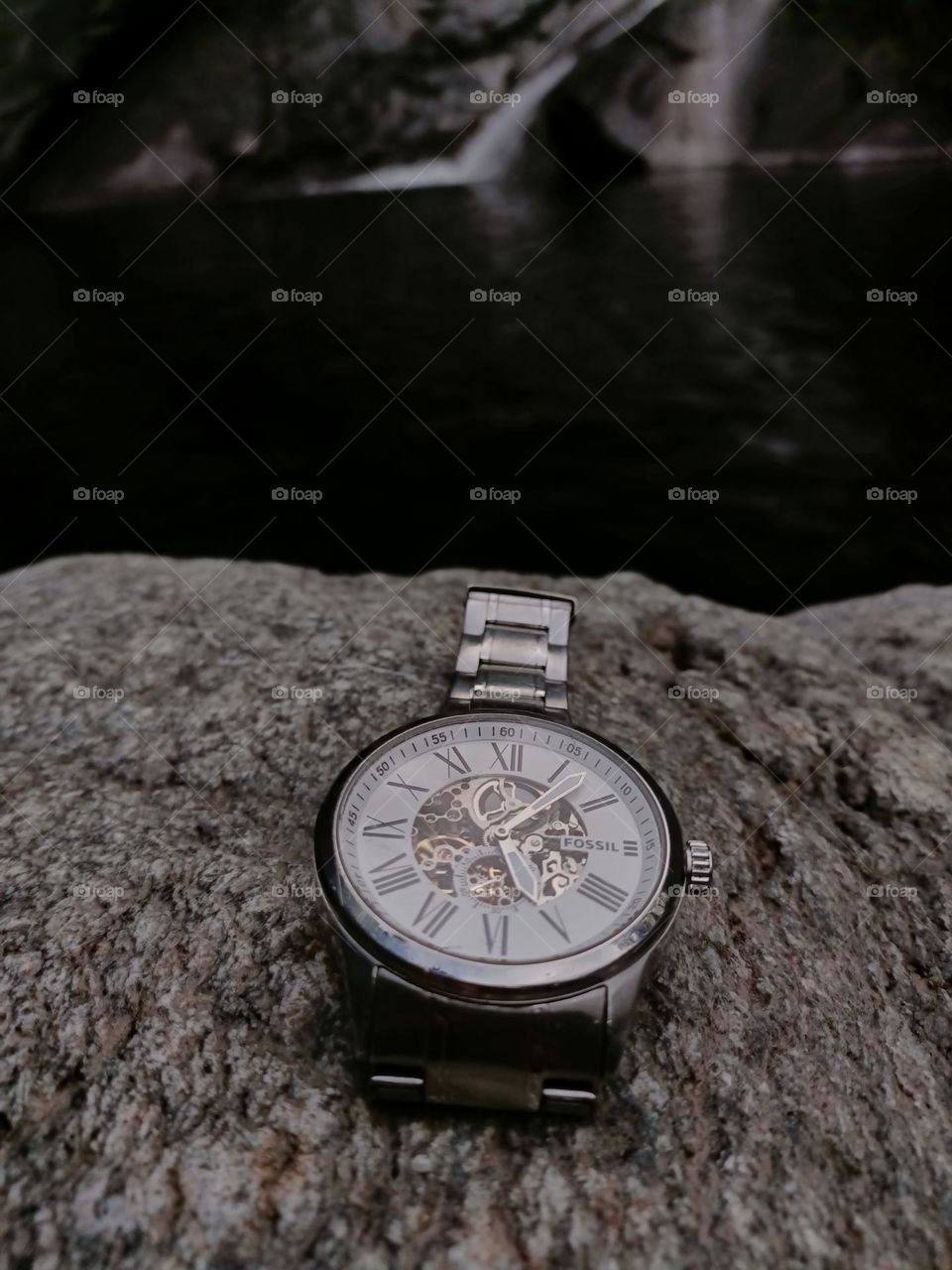 Fossil Watch