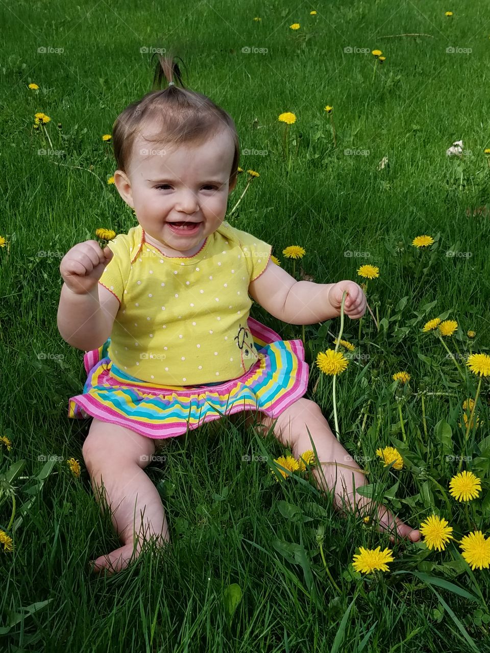 cute baby in dandelion field