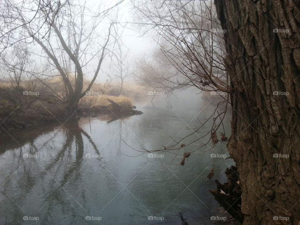 calming creek