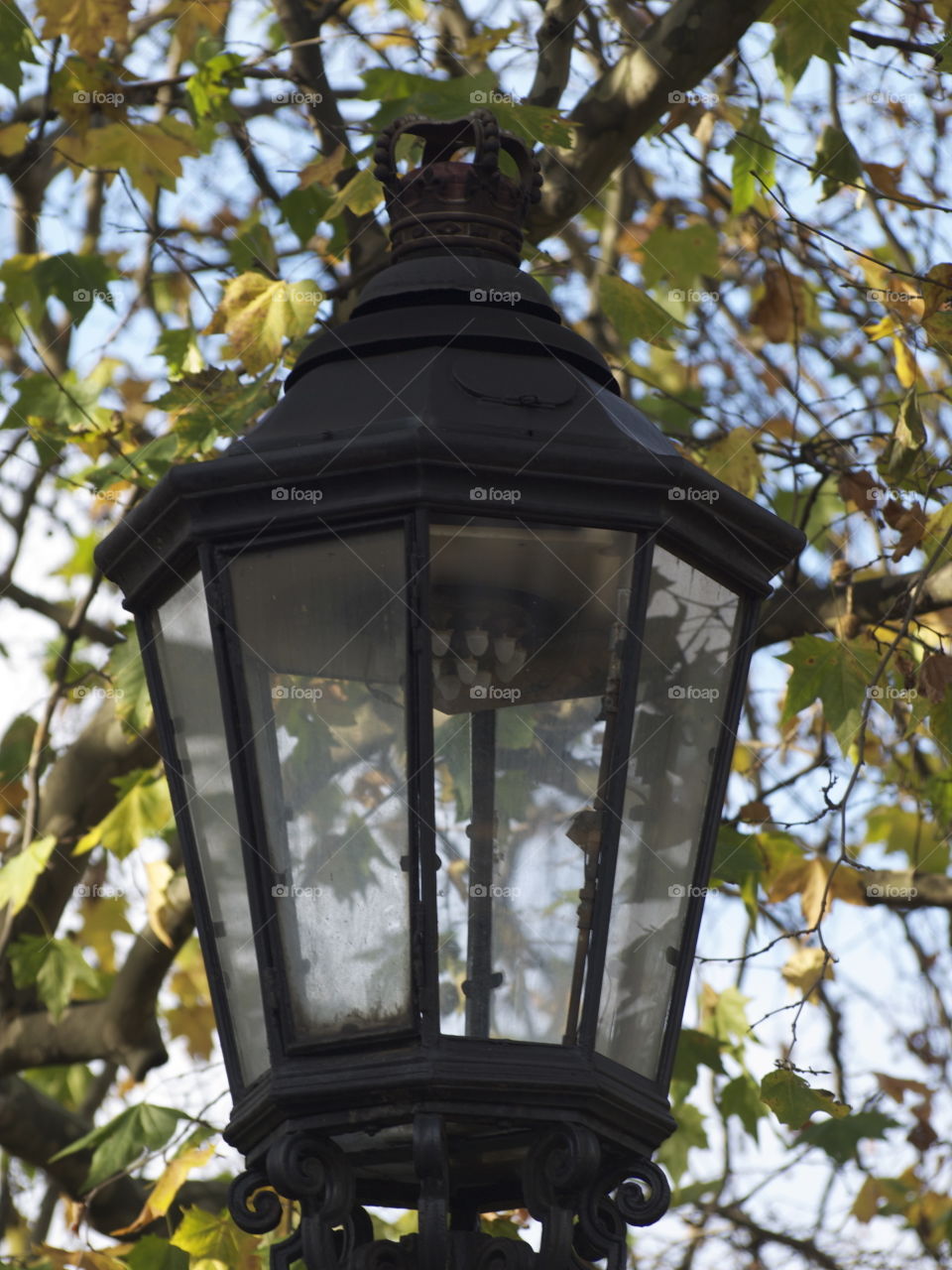 Lamppost 