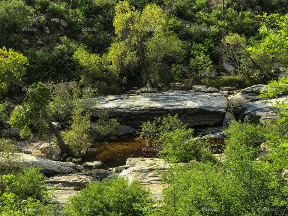 Nature Mountain Landscape - Sabino Canyon in Tucson, Arizona 