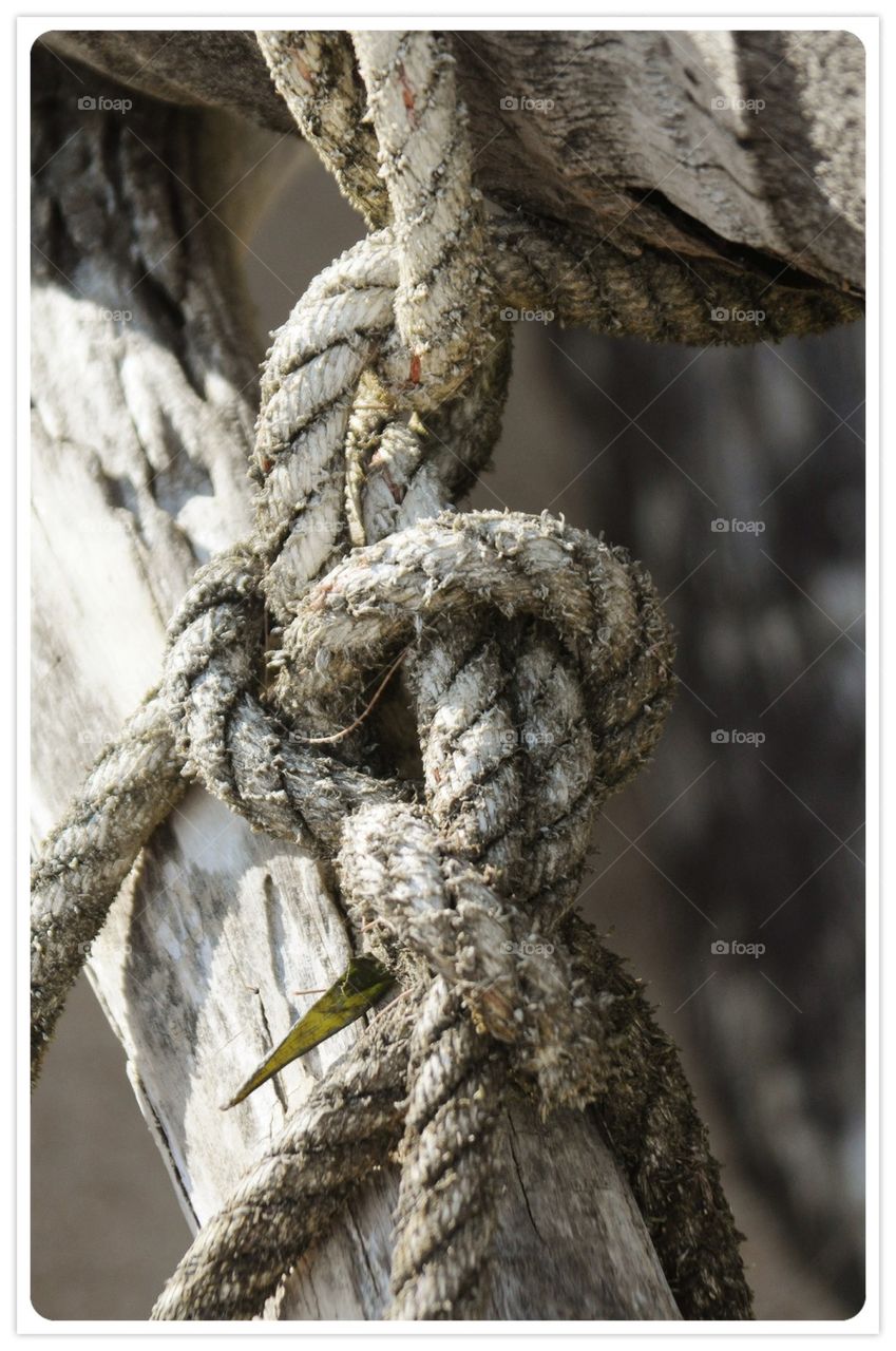 Rope