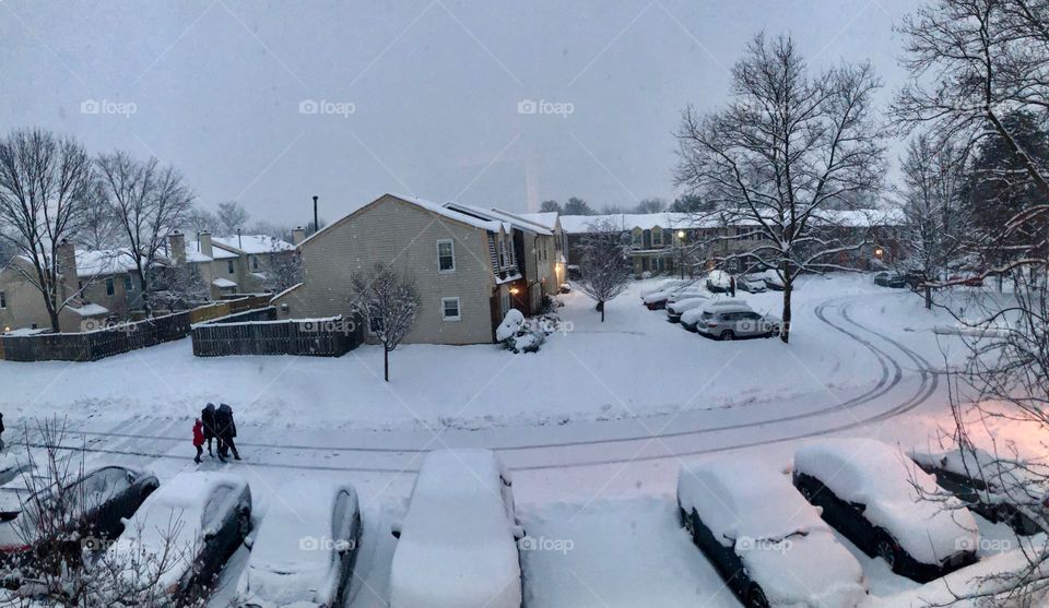 January 13, 2019 Snow