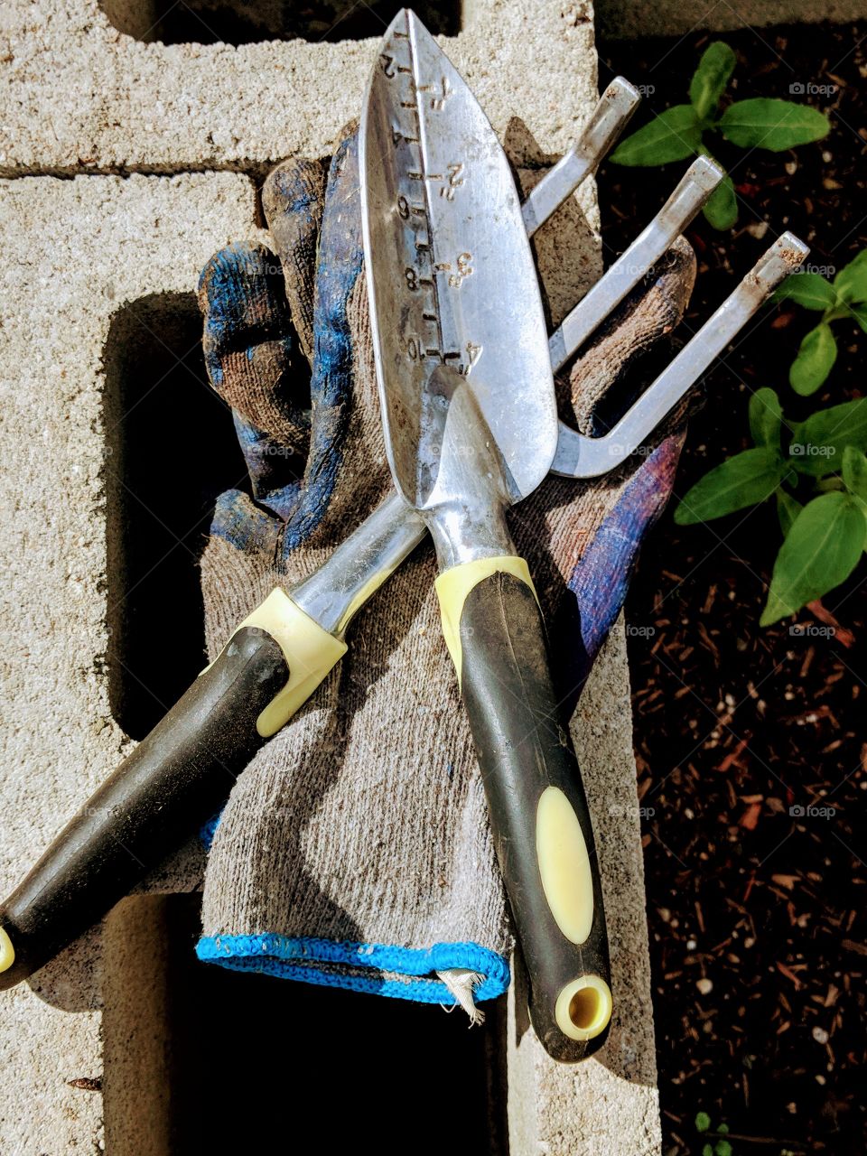 Working in the Spring Garden