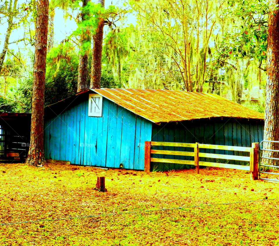 Tin Roof Barn
