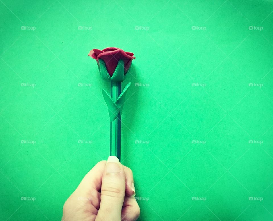 Rose against a green wall 