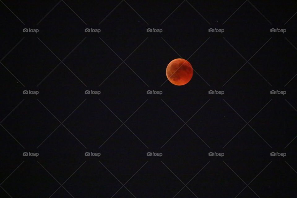 Red moon