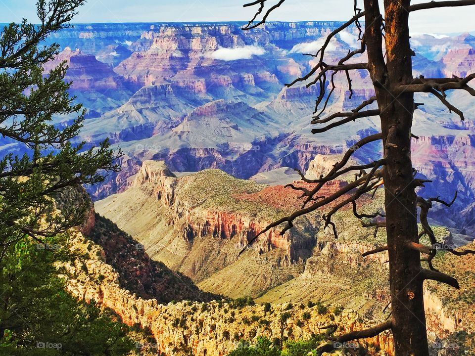 Gran canyon landscape. A beautiful Sight of the Gran canyon during my vacation there

