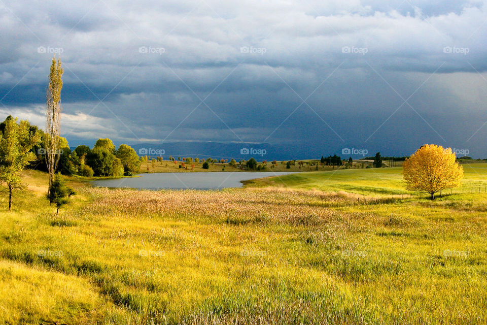 Autumn is such a beautiful vibrant season
 Image of sunset with sun shining on the grass and dark thunder clouds in the distance.