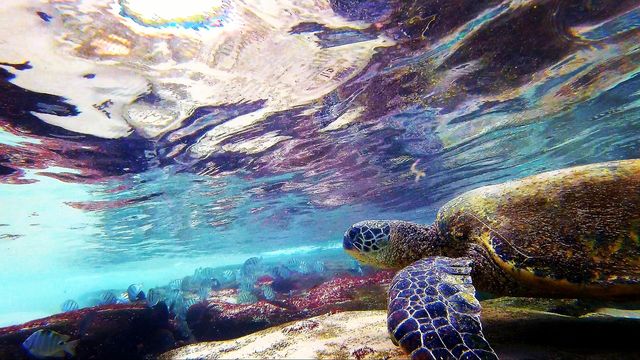 Underwater