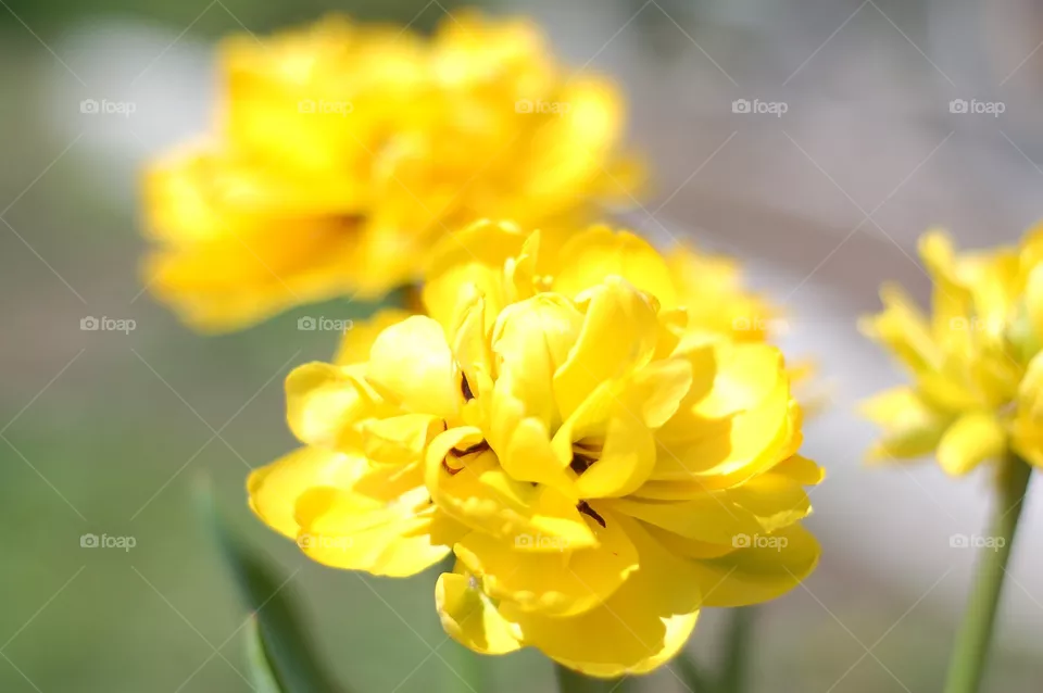 color