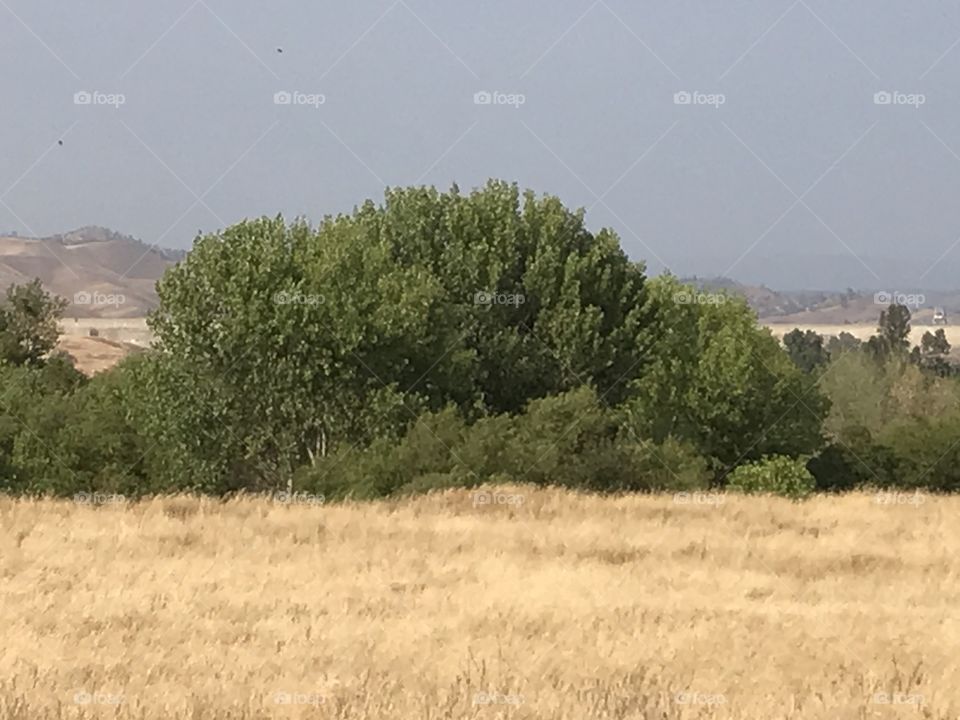 Lost Lake Recreation Area. 