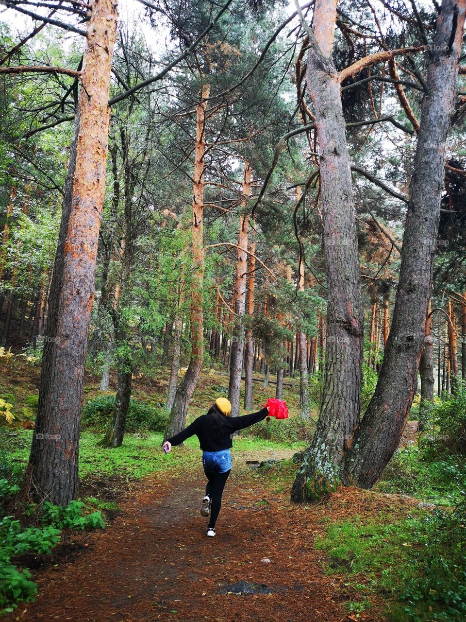 Pérdida en el bosque!