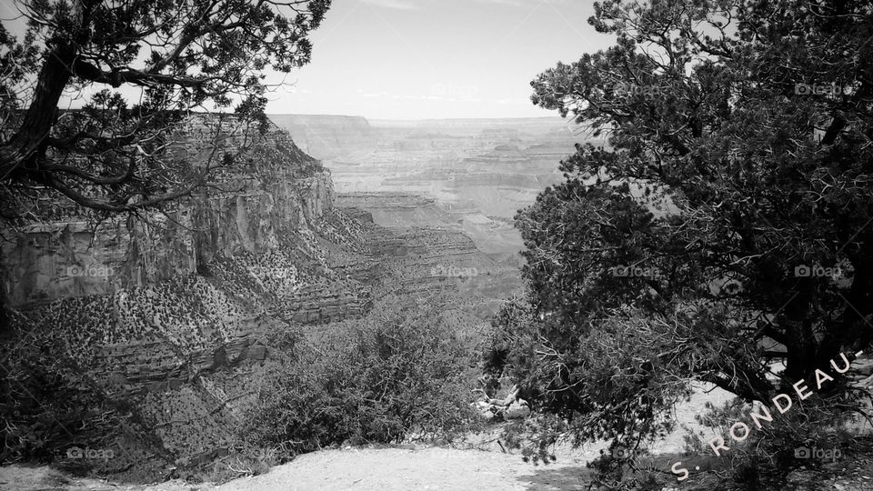 The Grand Canyon-