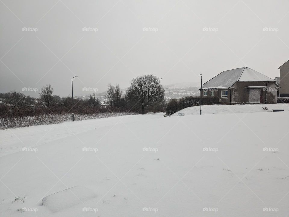 snow covered with house and trees