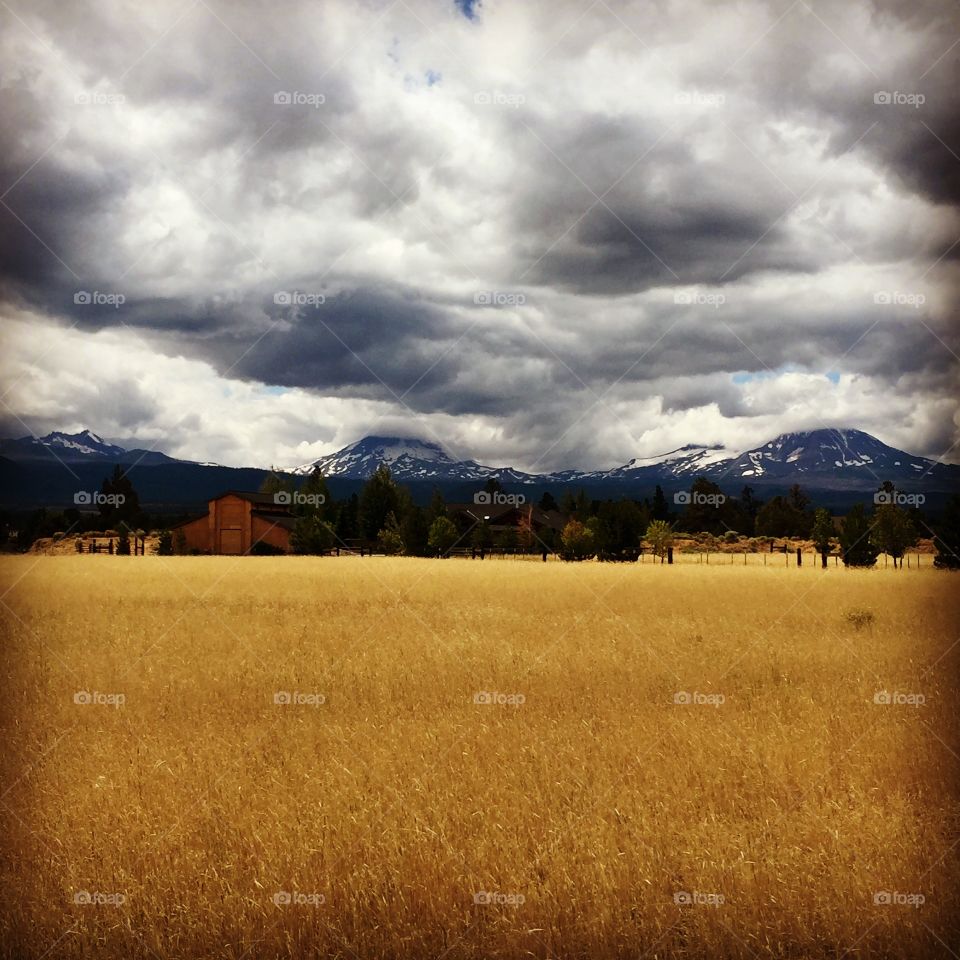3 Volcanic Sisters, observing a peaceful plain.  Sisters, Oregon

