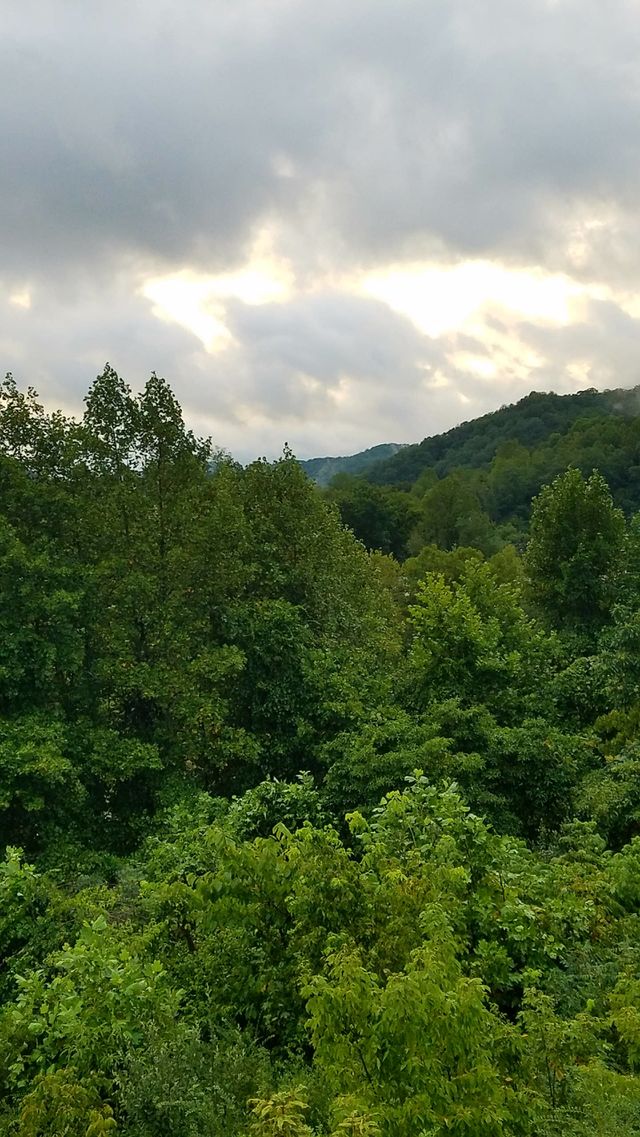 foggy mountains