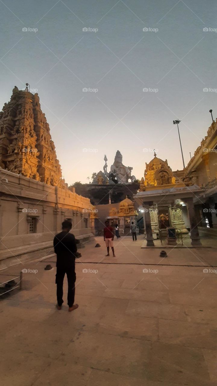 my photos of the week