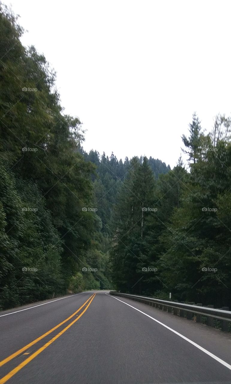 Road through Oregon to the Coast