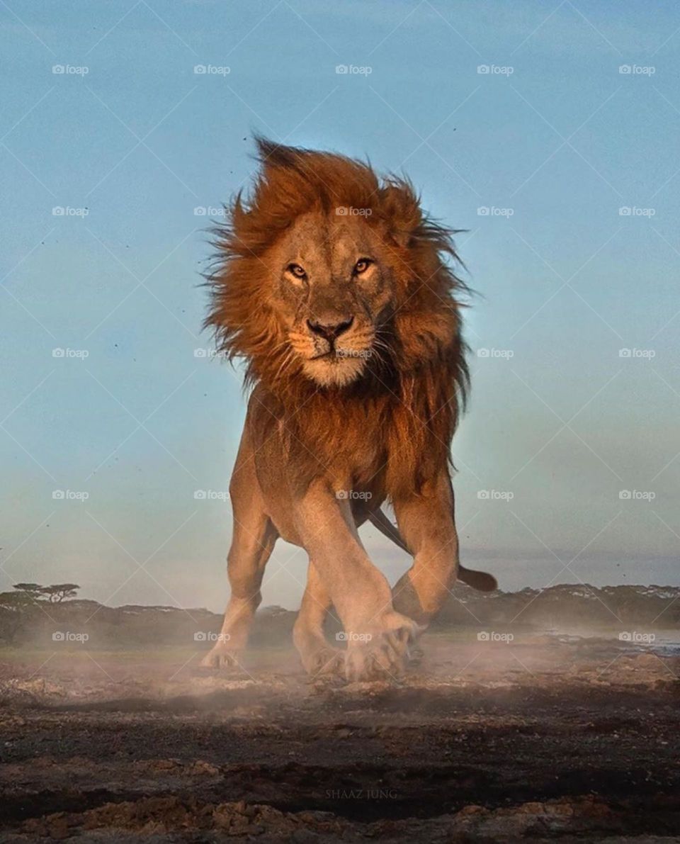 Holidays in November