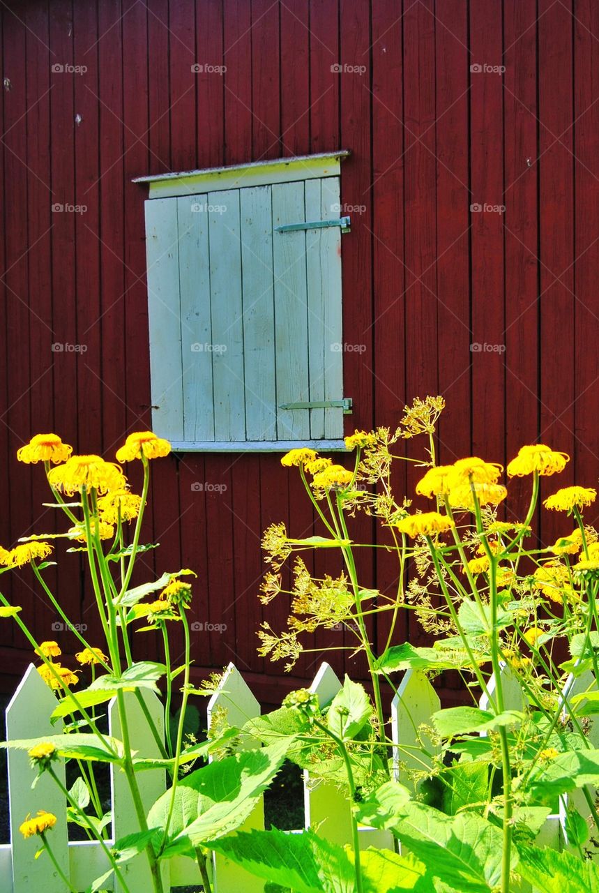 Old barn