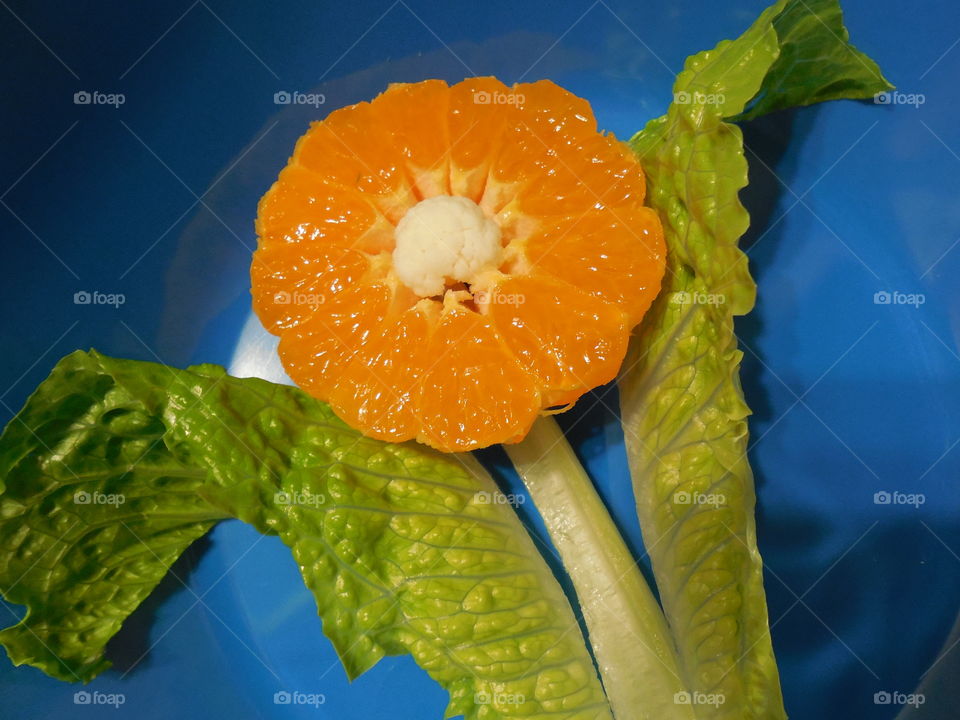 Orange flower fruit with blue background green romaine lettuce