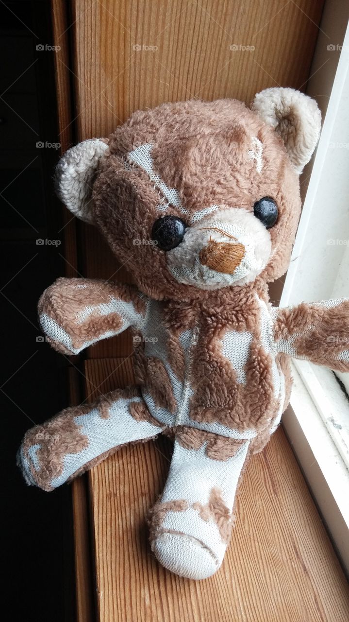 Brown Bear. My little girl's little bear loved till his fur fell off.