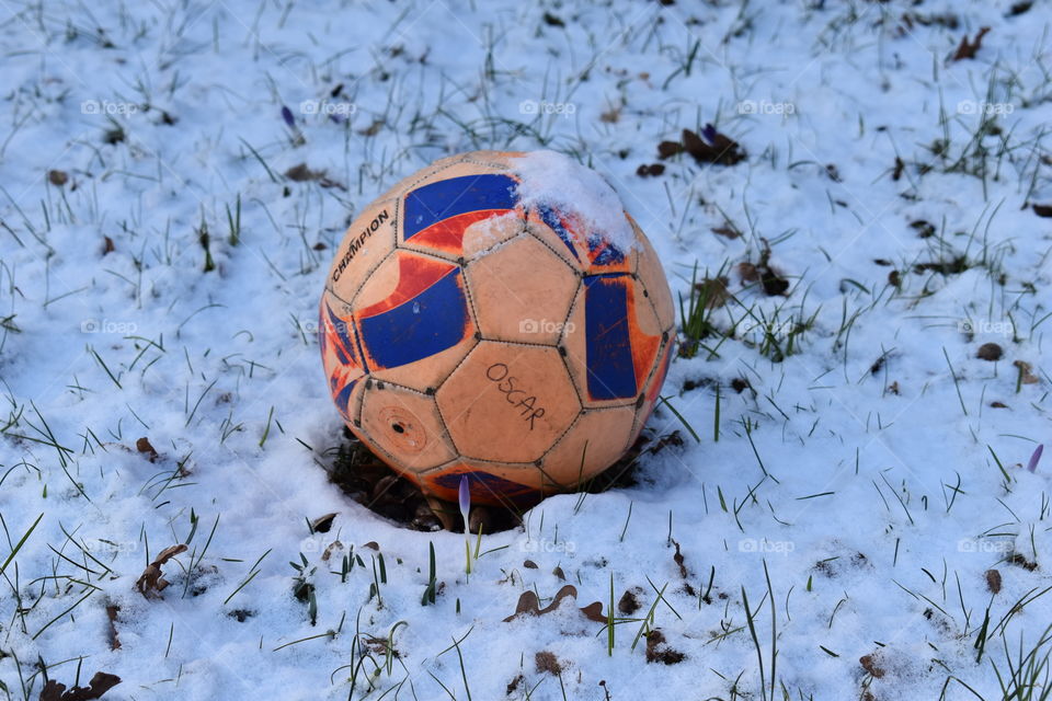 Soccer Ball in the Snow/ Bola de futebol na neve