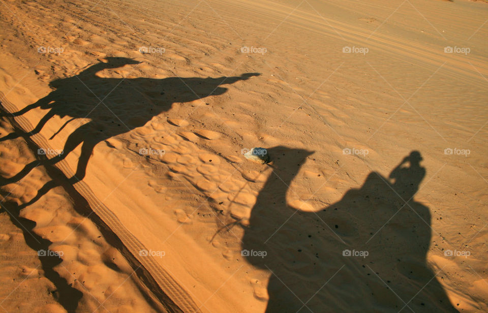 View of shadow of camel and people