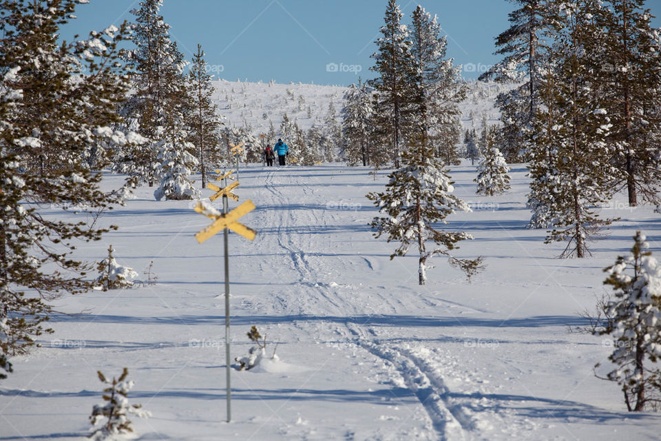 winter sweden skiing croscountry by kallek