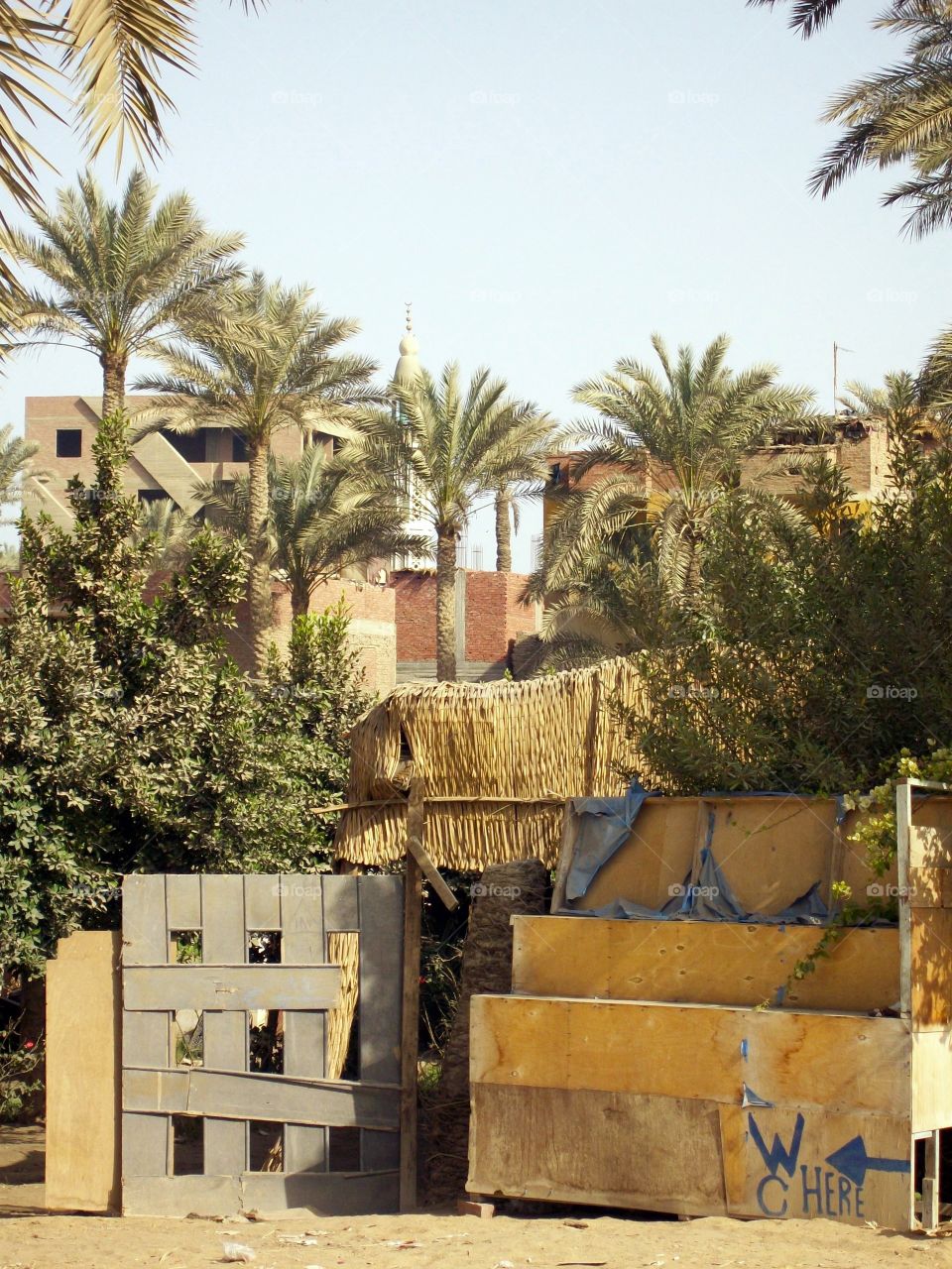 Egyptian street scene with greenery 