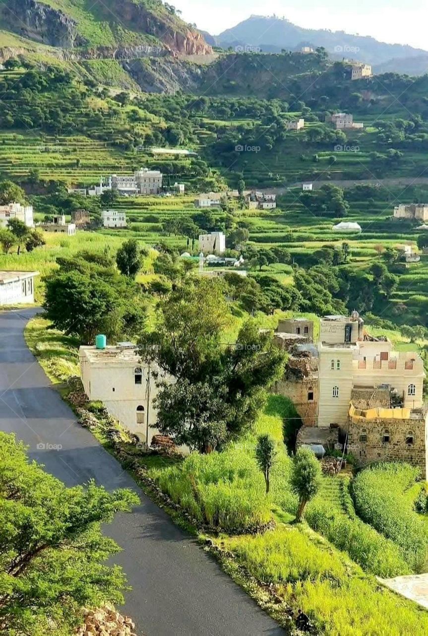 A stunning view of green mountains covered in fog in Yemen