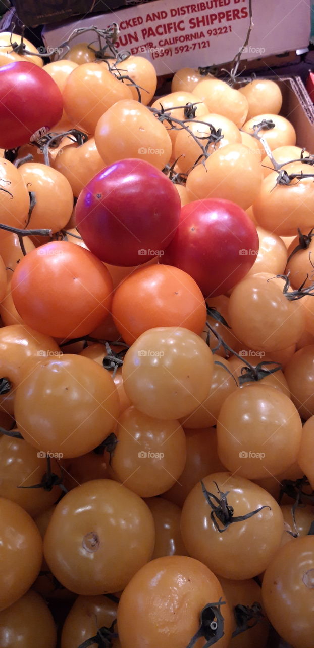 tomatoes in Vancouver