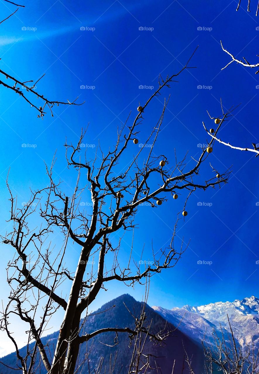 standing strong and high