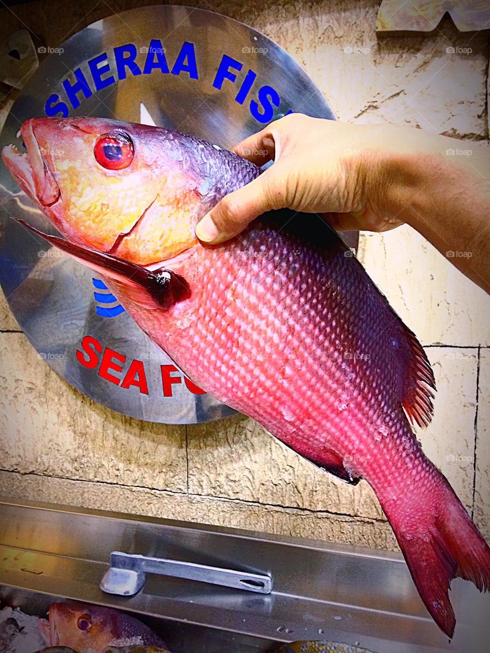 Red Fish